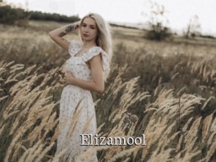 Elizamool