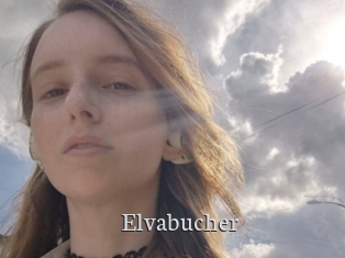 Elvabucher