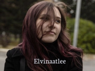 Elvinaatlee