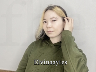 Elvinaaytes