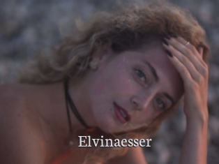 Elvinaesser