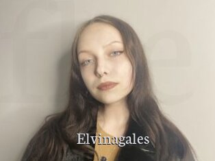 Elvinagales