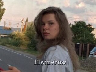 Elwinebuss