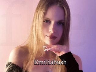 Emiliabush