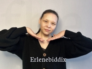 Erlenebiddix