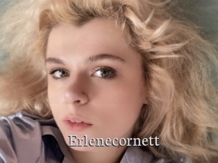 Erlenecornett