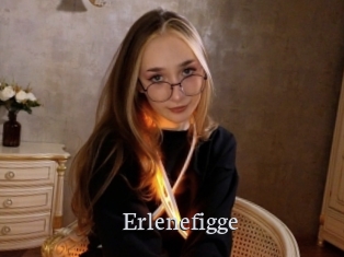 Erlenefigge