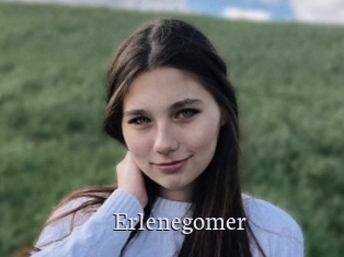 Erlenegomer