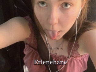 Erlenehane