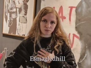 Esmagledhill