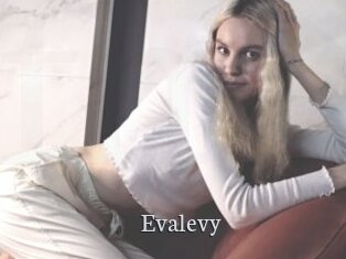 Evalevy