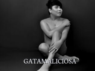 GATAMALICIOSA