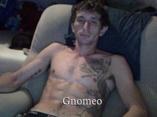 Gnomeo
