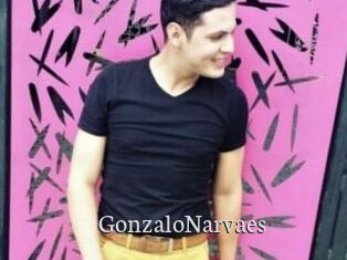 GonzaloNarvaes