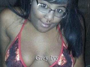 Grey_Ivy