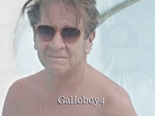 Galloboy4