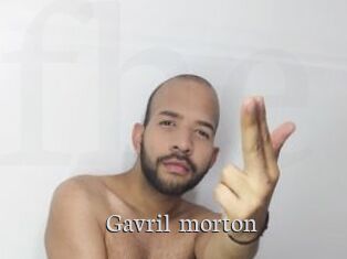 Gavril_morton