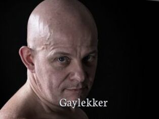 Gaylekker