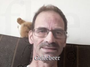 Geilebeer