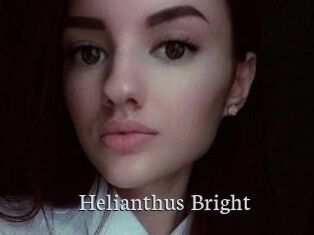 Helianthus_Bright