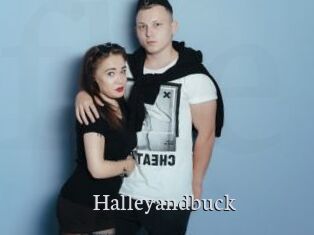 Halleyandbuck