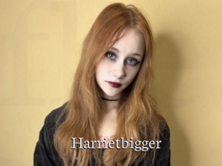 Harrietbigger