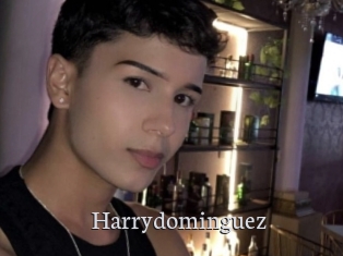 Harrydominguez