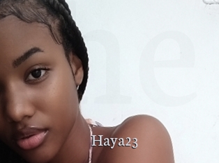 Haya23