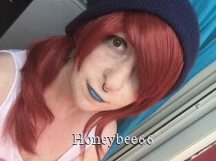 Honeybee66