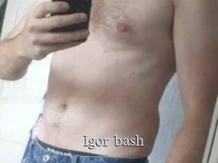 Igor_bash