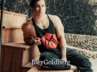 JoeyGoldberg