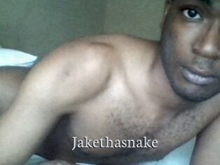 Jake_tha_snake