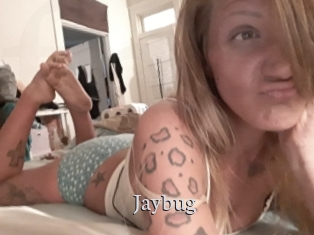 Jaybug