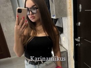 Karinamikus