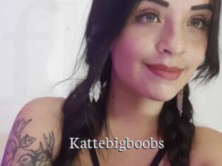 Kattebigboobs