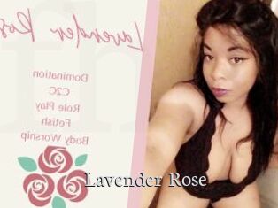 Lavender_Rose