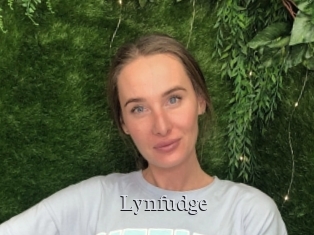 Lynfudge