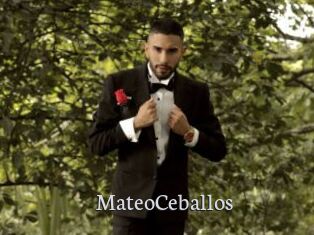 MateoCeballos