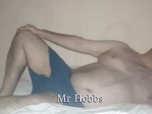 Mr_Hobbs