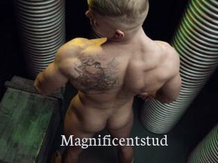 Magnificentstud