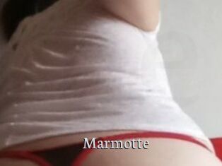 Marmotte