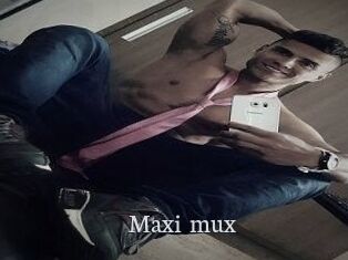 Maxi_mux