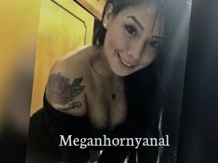 Meganhornyanal