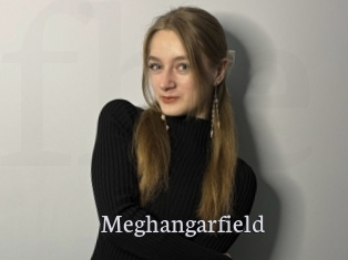 Meghangarfield