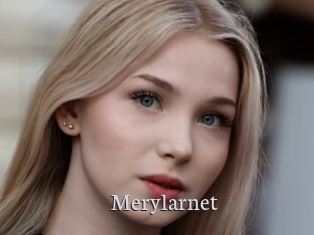 Merylarnet