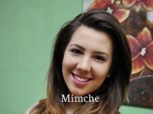 Mimche