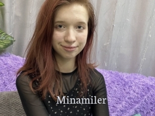 Minamiler