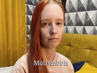 Mollyrabbit