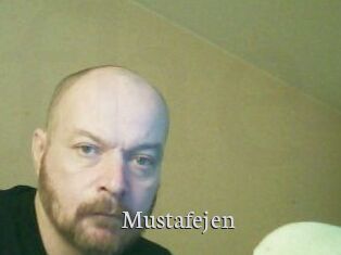 Mustafejen