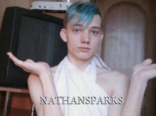 NATHAN_SPARKS